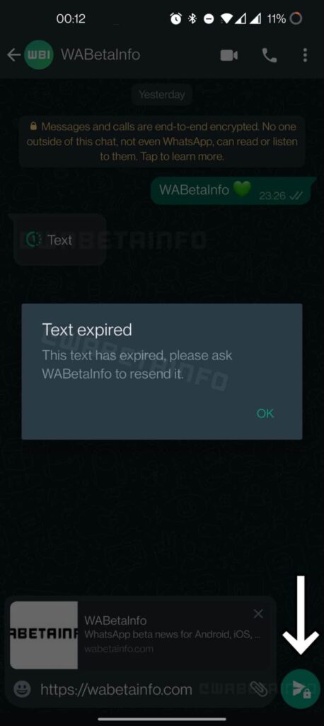 WhatsApp lançará recurso para enviar mensagem de texto de visualização única